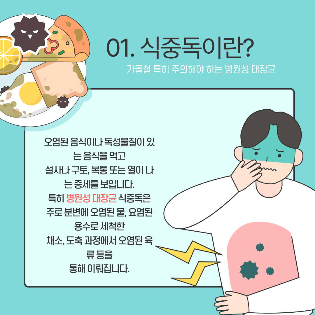 초보도 쉽게 만드는 카드뉴스 디자인 공식