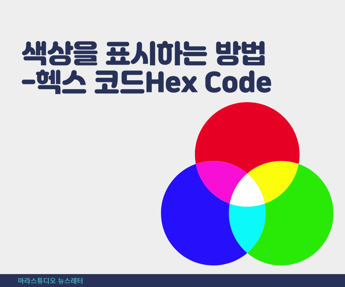 색상을 표시하는 방법-헥스 코드Hex Code